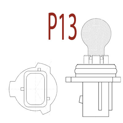 P13