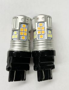 3157 SWITCH BACK 