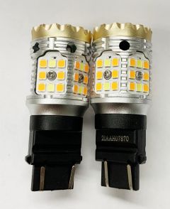 3157 SWITCH BACK 