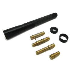 JDM-ANT-CARBON